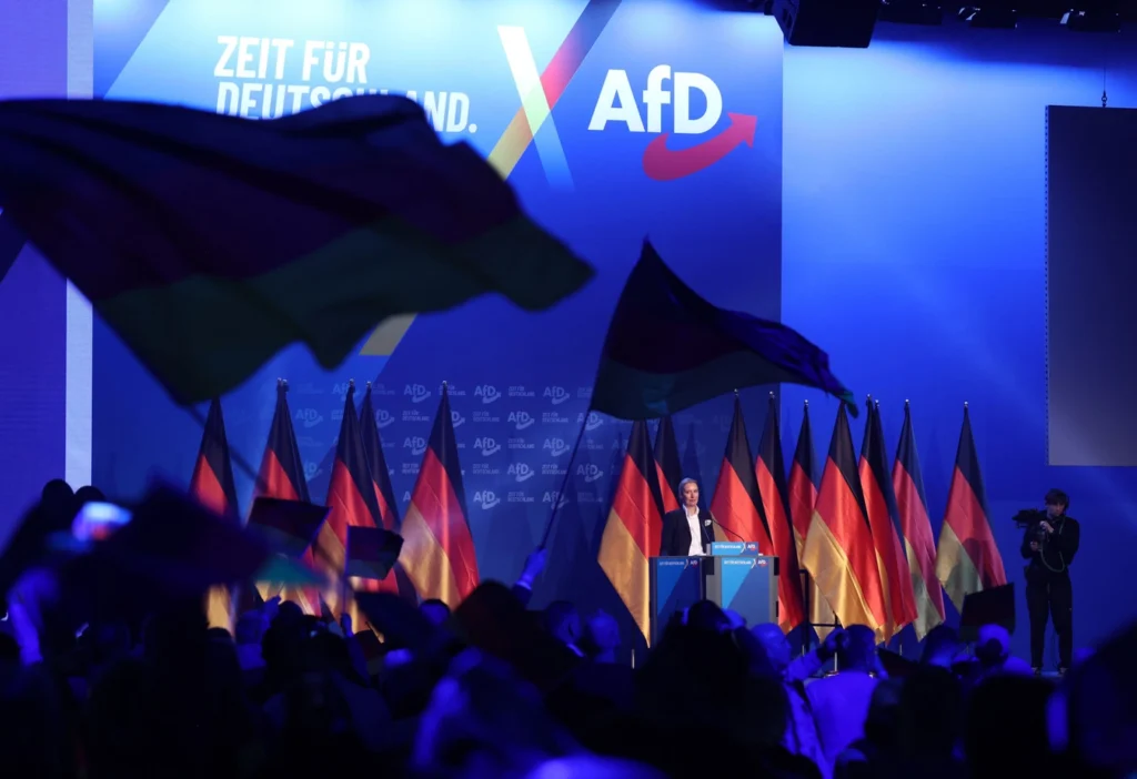 Alternative for Germany (AfD)
